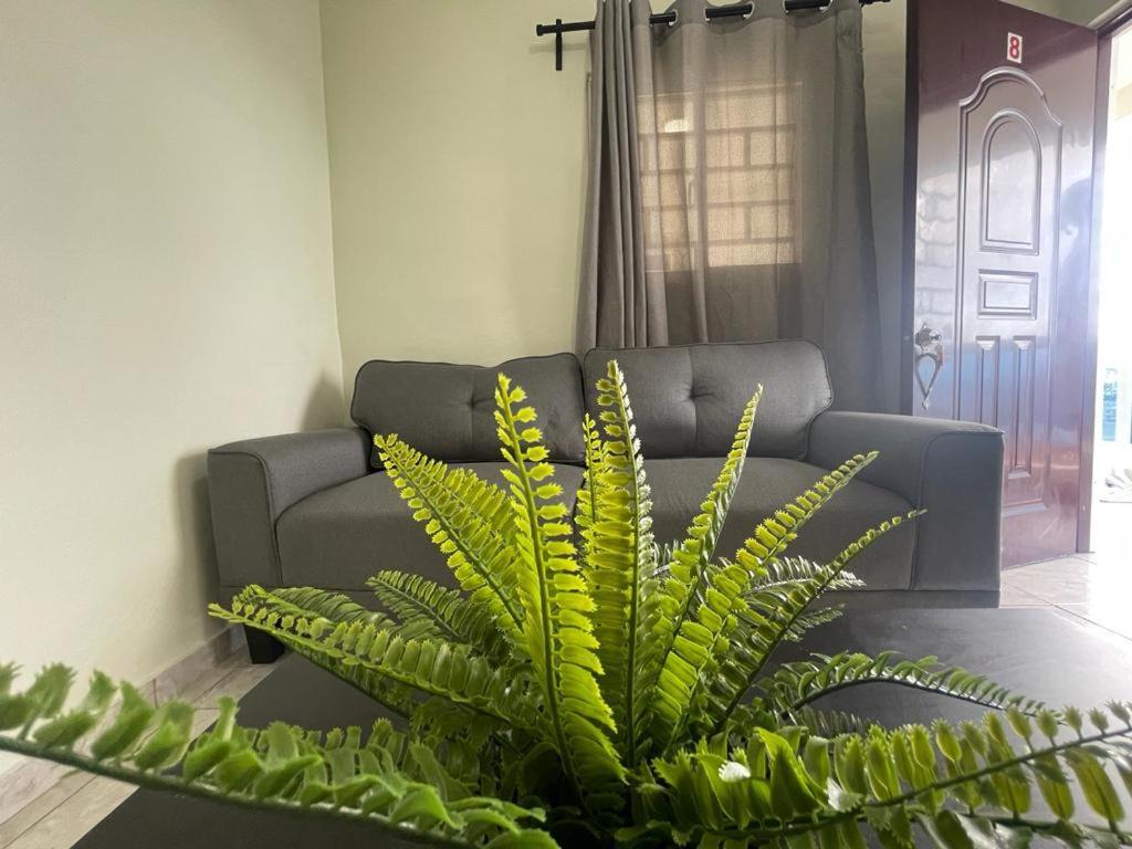 Romana Suite Paradise Ла-Романа Экстерьер фото